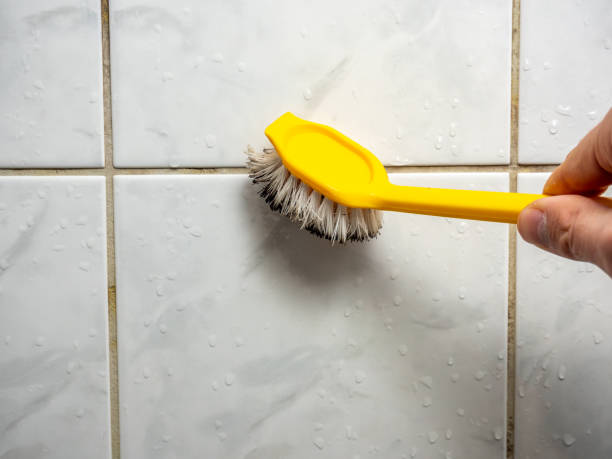 Best Commercial Mold Remediation in Ballston Spa, NY