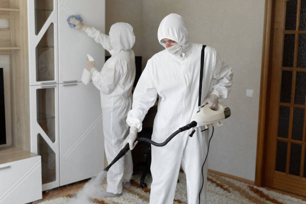 Best Basement Mold Remediation in Ballston Spa, NY