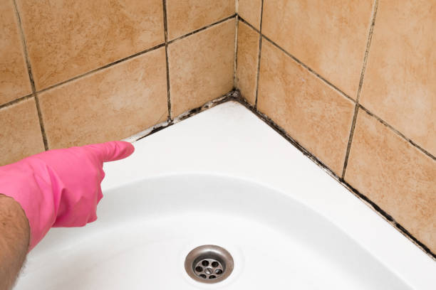 Best Industrial Mold Remediation in Ballston Spa, NY